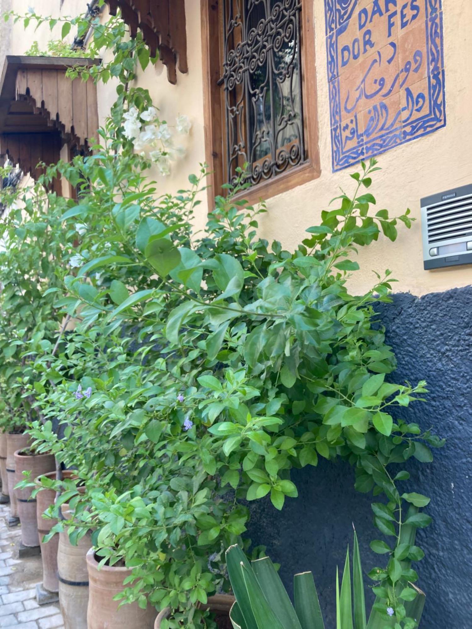 Hotel Dar D'or Fès Exterior foto